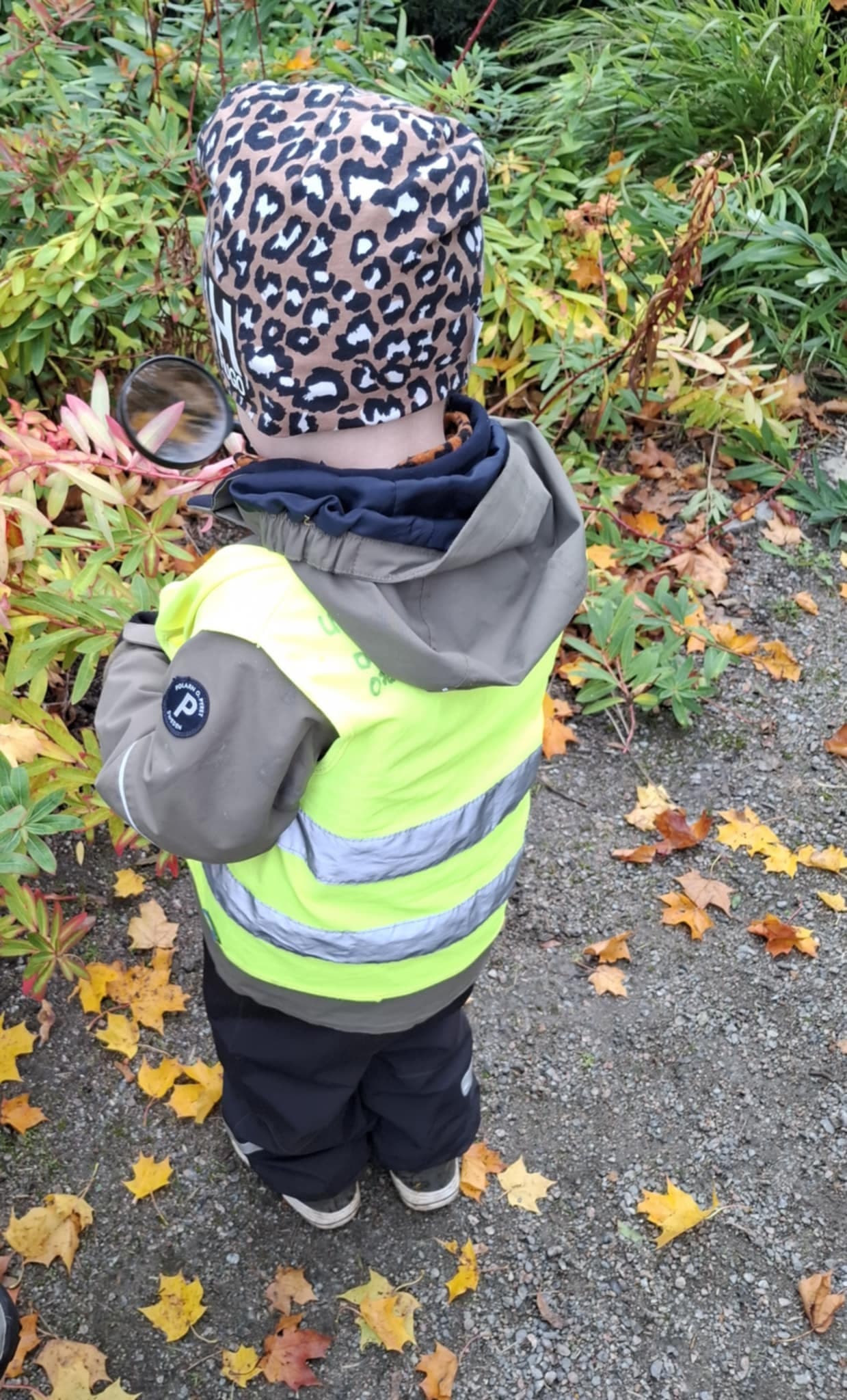 Barn som utforskar naturen tillsammans